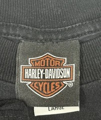 Harley-Davidson Shirt Men’s L Skull Flames Tribal Graphic Biker 220