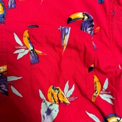 Chubbies The Nutter Men’s Size Medium Red Parrot Short Sleeve Aloha Shirt USA
