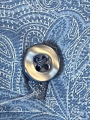 Consequence Mens SS Button Up Paisley Shirt- XL-Slim Fit-Cotton Spandex Blend