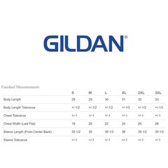2 Pack Of Gildan G540 Adult Heavy Cotton Blank Tee Casual Plain Sports T-Shirt