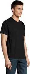 Men’s Graphic T-Shirt V Neck Original Parts (Mostly) Aged to Perfection 2004