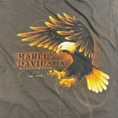 2012 Harley Davidson Savannah GA Flame Eagle Palm Tree Graphic T-Shirt Brown XL