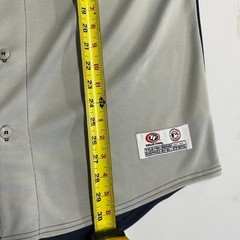 Tigers jersey