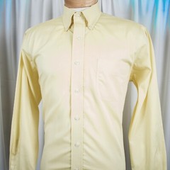 RALPH LAUREN Yellow Lemon Solid Cotton Men Dress Shirt Size 16