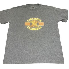 Arizul Mens Cartagena Colombia Graphic T-Shirt Large Gray Short Sleeve Souvenir