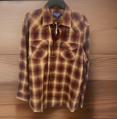 PENDLETON WOOLEN MILLS Men’s Button Down Long Sleeve Sz. L Polyester /Cotton NEW