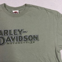Harley Davidson Spellout Boxy Logo Green Mens 2XL Kentucky Graphic Shirt Biker