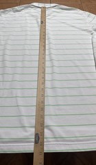 Peter Millar Summer Comfort E4 Golf Shirt Sz Large White Green Striped Logo