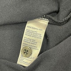 Tommy Hilfiger Mens Regular Fit Solid Stretch Cotton Mesh Long Sleeve Polo Shirt