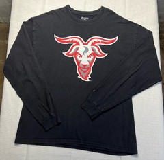 Worcester Polytechnic Institute Champion Double Sided Long Sleeve XL GOAT ON