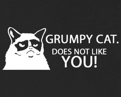 Grumpy Cat Does Not Like You Funny Cat Silhouette T-Shirt