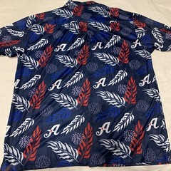 Destroyer Rocks Men’s Button Down Shirt Sz. XL