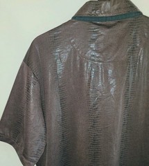 Vassari Los Angeles Mens 2XL Short Sleeve 1/4 Snap Front Shirt Brown