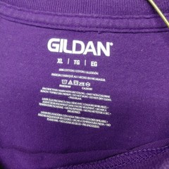 Lot Of 4 Gildan/Hanes/Fruit Of The Loom Tshirts Men’s Size XL Gray/Red/Blue/Purp