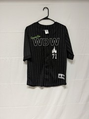 Disney Walt Disney World 71 Black Pinstripe Button-Down Shirt S