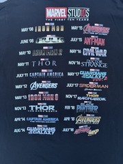 Marvel Studios Black More Than A Fan Graphic Print Crew Neck Tee Men L