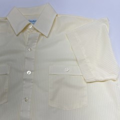 VTG Sea-Aire 70’s by Youngbloods Light Yellow Sheer Striped Beach Flex Medium