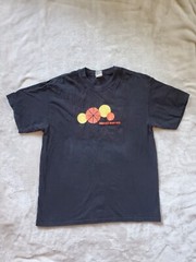 Absolut Vodka Ruby Red Grapefruit Advertising Shirt Large Hanes Beefy Tee…