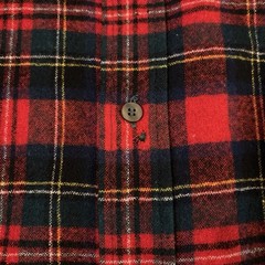 2 Vtg Pendleton Button Down Flannel Size L 100% Virgin Wool Made In USA Holes