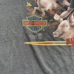 Very Rare 1989 Harley Davidson 3D Emblem “Ridin’ Hogs and Pickin’ Up Chicks Tee”