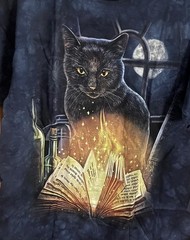 Black Cat Kittens Kitty Moon Magic Bewitched Witch Cute Mountain T-Shirt S-3X