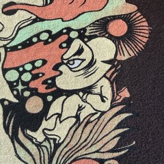 STURGILL SIMPSON Psychedelic Wanderer Alt Country T-Shirt 2015. SMALL Preowned