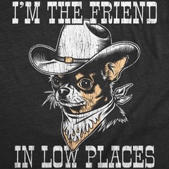 Mens Funny T Shirts Im The Friend In Low Places Sarcastic Graphic Novelty Tee