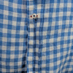 Cremiux Classics Gingham Mens Button-Down – Size Large – Blue and White Coastal