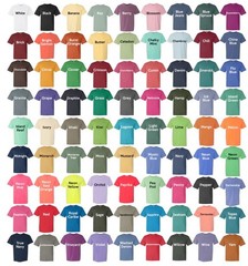 Billy Strings American Eagle Bluegrass Music T-Shirt – Unisex Comfort Colors