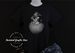 Twisted Cinderella