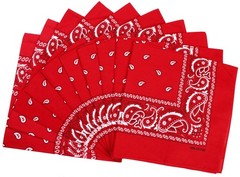 10 PCS Red 100% Cotton Bandanas Fashion Scarf For Men Women Paisley Printed