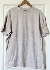L.L.Bean Traditional Fit T Shirt Beige Oatmeal Heather 100% Cotton Men’s XL Tall