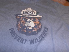 SMOKEY THE BEAR “PREVENT WILDFIRES” GRAY S/S T-SHIRT MENS 3XL