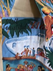 RARE Reyn Spooner Multiple Countries Artwork rayon Shirt XL Length 31.5