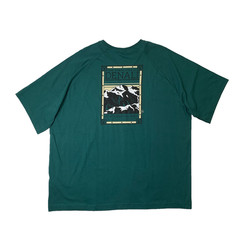 The North Face T Shirt Mens 2XL Forest Denali North Faces Mt McKinley Alaska