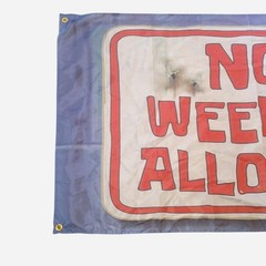 Spongebob SquarePants No Weenies Allowed Wall Flag
