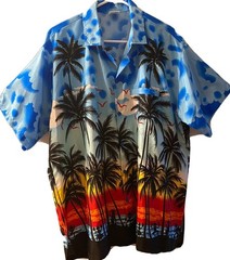 La Leela Hawaiian Shirt Casual Beach Tropical Sunset Button Down Men’s L