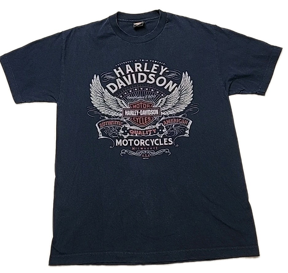 Harley Davidson Men’s Short Sleeve Graphic T-Shirt Sz Large Blue Double Sided