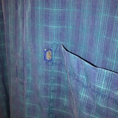 Pineapple, connection, sz large, blue/purple Mens short sleeve button down shirt