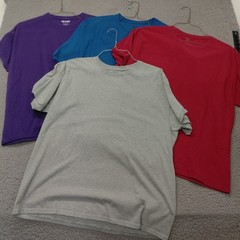 Lot Of 4 Gildan/Hanes/Fruit Of The Loom Tshirts Men’s Size XL Gray/Red/Blue/Purp