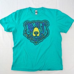 Gildan T-Shirt Mens M Teal Anakeesta Gatlinburg Tennessee Bear Graphic Softstyle