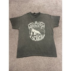 Colortone Red Rocks Colorado T-Shirt Mens Large Grey Excellent Metal Graphic Tee