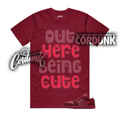 1 Valentines Day 2026 Team Sierra Red Low SE T Shirt Match CUTE