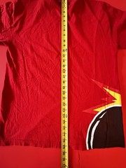 Y2K Rosewood Collection THE HUNDREDS SIDE Print XL