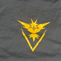 Next level DE Pokémon Small size (width 17in, length 26in) graphic Tank top