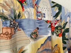 VTG REYN SPOONER Hawaiian Rayon Shirt Mens L Trans Pacific Honolulu Clipper TPA