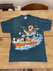 Vintage 1993 Looney Tunes Lake Cumberland T Shirt Large Taz Bugs Tweety USA