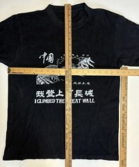Vtg 90s I Climbed The Great Wall China Faded T Shirt Sz M Dragon Art Asia Grunge