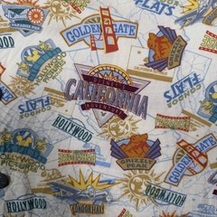 Disneyland California Adventure Shirt Men’s Medium Opening Team W/ 2001 Pin Crew
